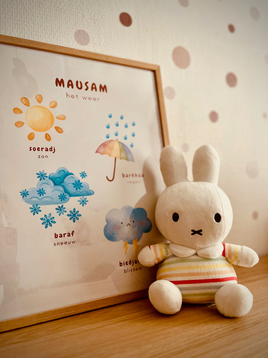 GRATIS POSTER: Het weer (mausam)