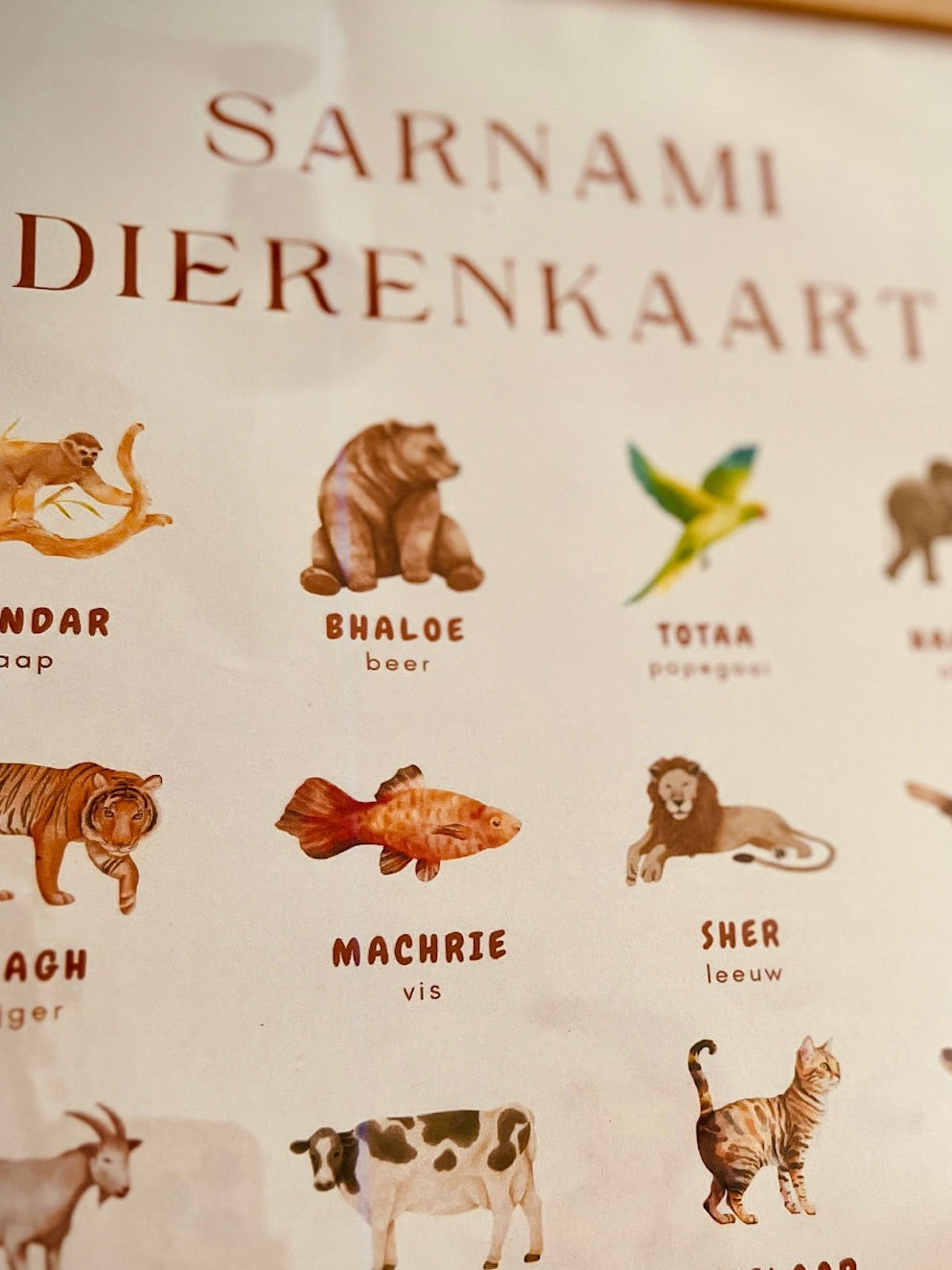 Dieren flashcards 30 pagina's – Sarnami naar Nederlands