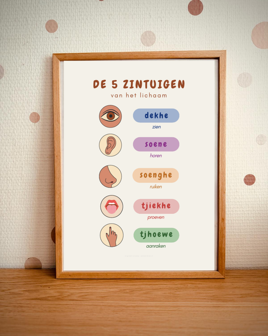 Leer de 5 zintuigen in het Sarnami